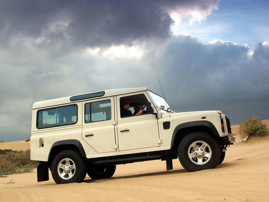  Land Rover Defender 110 Station Wagon 1990 года  (ZA) (фото 3 из 6)